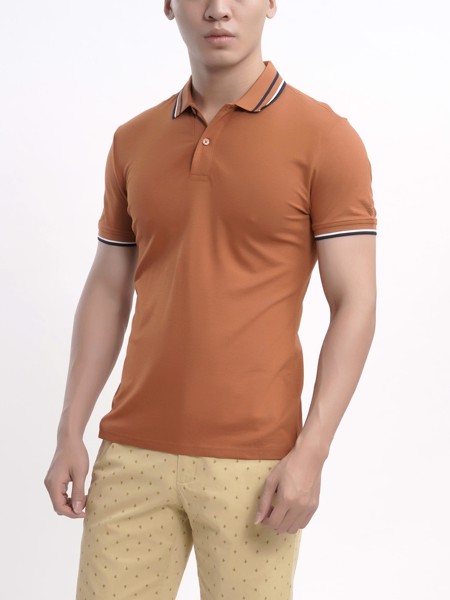 áp polo bamboo